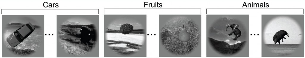 Imágenes de ejemplo de tres de las siete categorías utilizadas en la medición de reconocimiento de categorías de objetos en redes neurales y macacos  (crédito: Cadieu et al./ PLoS Comput Biol).